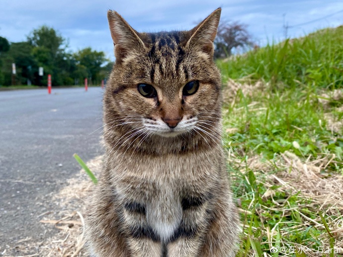 街角记录 — 手作工坊·特别篇 缩略图