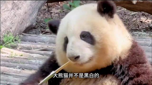 经典回看 — 舞台瞬间 封面